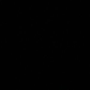 Meet your Posher, Rae